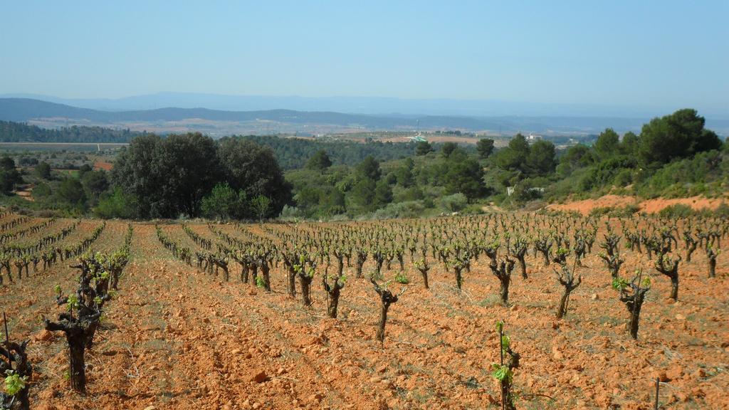 Finca Casa Nueva レケナ エクステリア 写真
