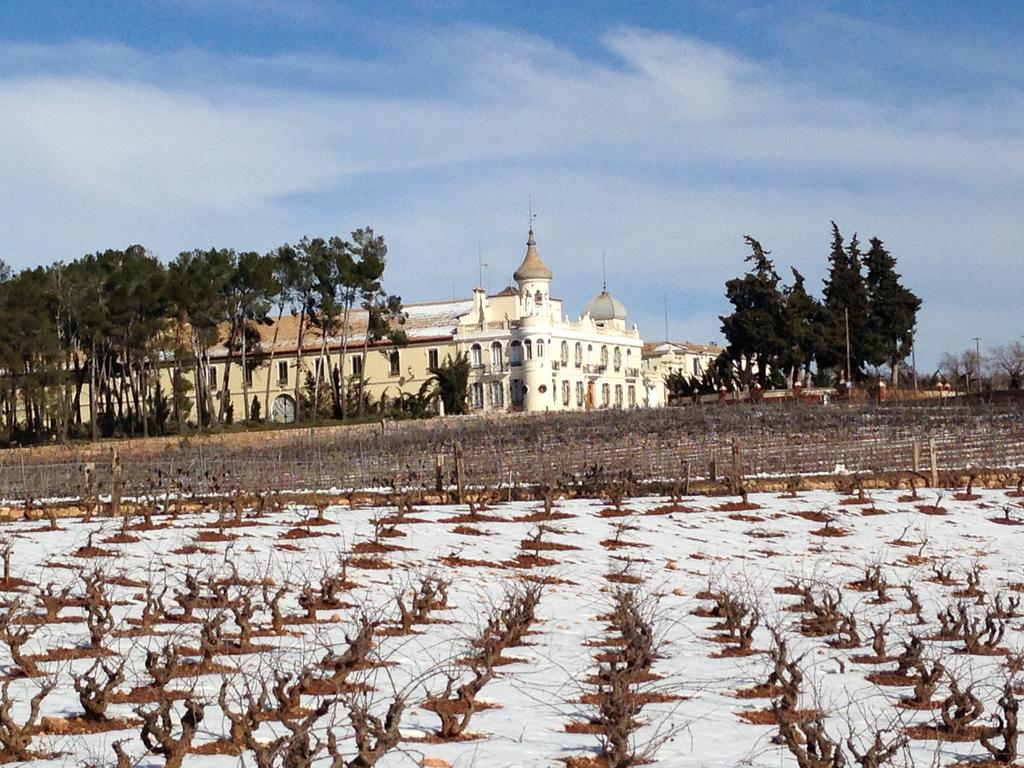 Finca Casa Nueva レケナ エクステリア 写真